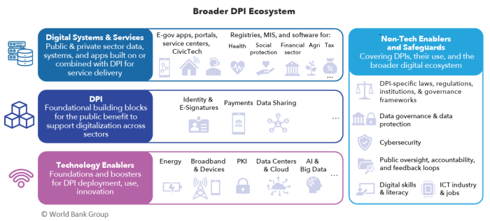WB Broader DPI Ecosystem